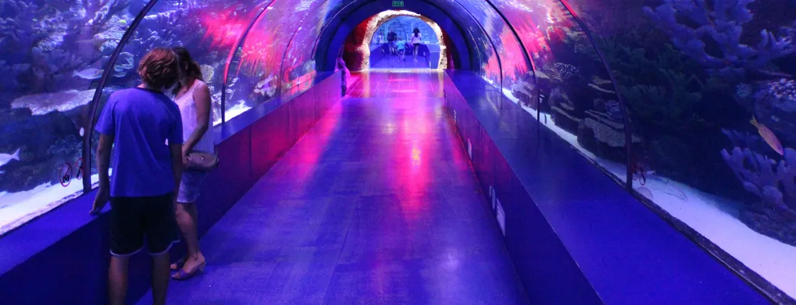 Antalya Aquarium & Old Town Tour with Gold Centre Visit