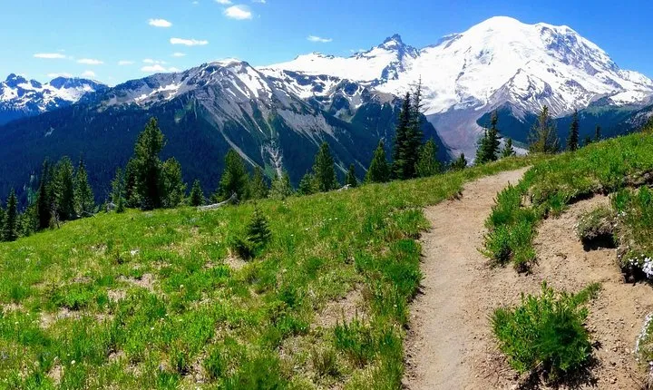 Hike Mt. Rainier & Taste Yakima Valley Wine: All-Inclusive Day Tour from Seattle