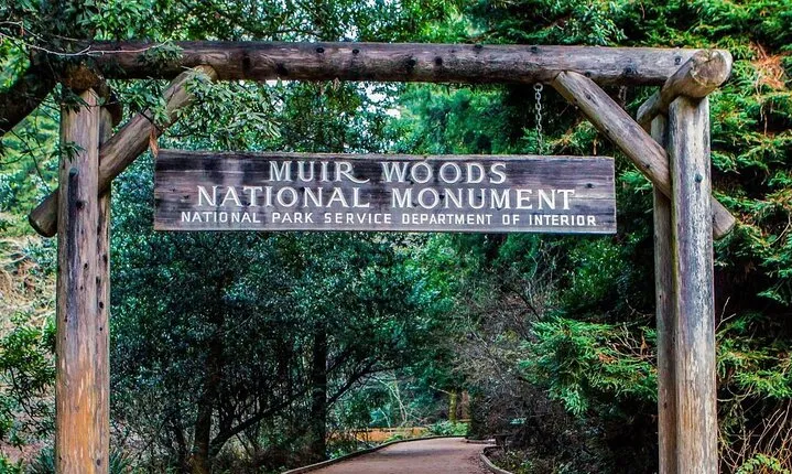 Private Walking Tour in Muir Woods and Tickets
