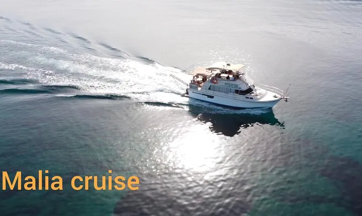 Snorkeling Boat Trip with Transfer and Lunch