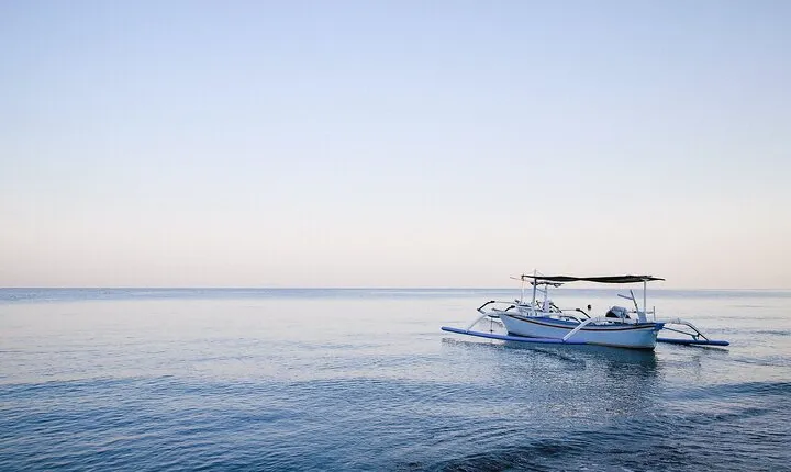 Lovina Dolphin Watching, Snorkeling and Waterfall Tour in Bali