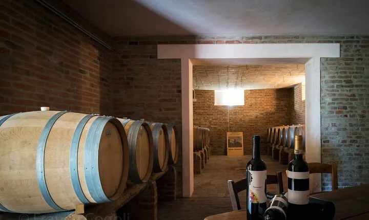 From Bologna: Wine Tasting and Vineyard Tour with the winemaker