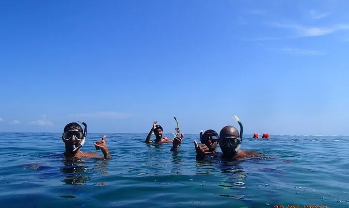 Full Day Cahuita Snorkel And Sloth Sanctuary from Puerto Viejo de Limón