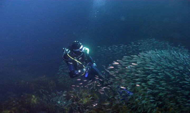2-Day Great Barrier Liveaboard Dive Tour