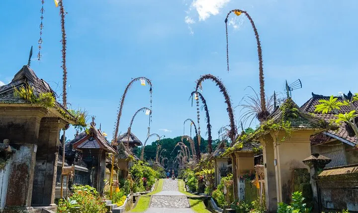 Private Experience: Bali Village Tour