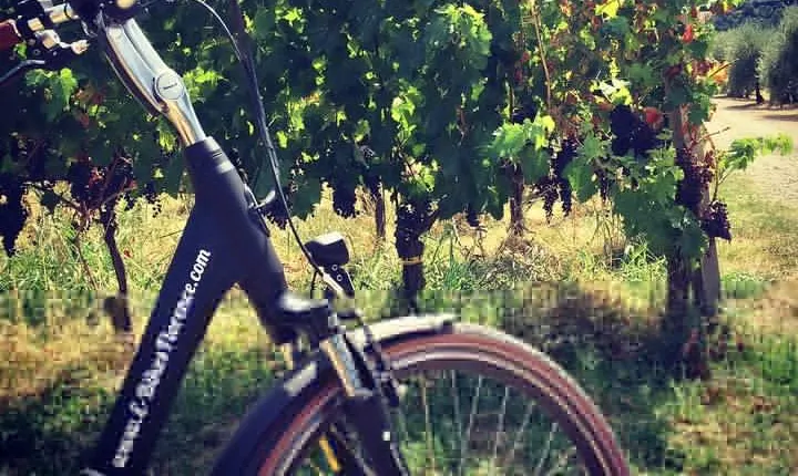 E-Bike Florence Tuscany Self-Guided Ride with Vineyard Visit