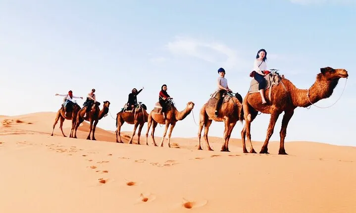 Shared Group 3 Days/2Nights: Fez to Marrakech Sahara Tour