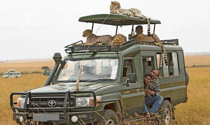 10-Days Explore Kenya Wildlife Private Safari