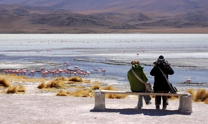 2-Day Private Tour to Salar de Uyuni and Laguna Colorada