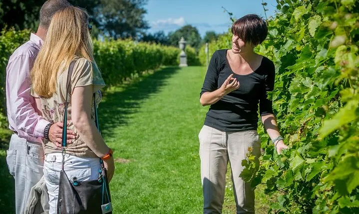 Beaune wine tour - Wine tasting included - Professional guide !