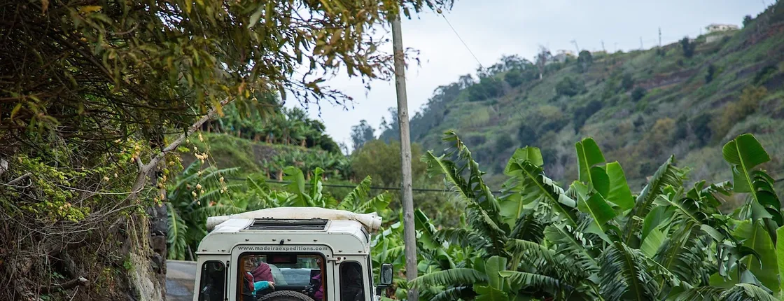 Madeira 4x4 tour from Funchal to the west and Fanal Forest