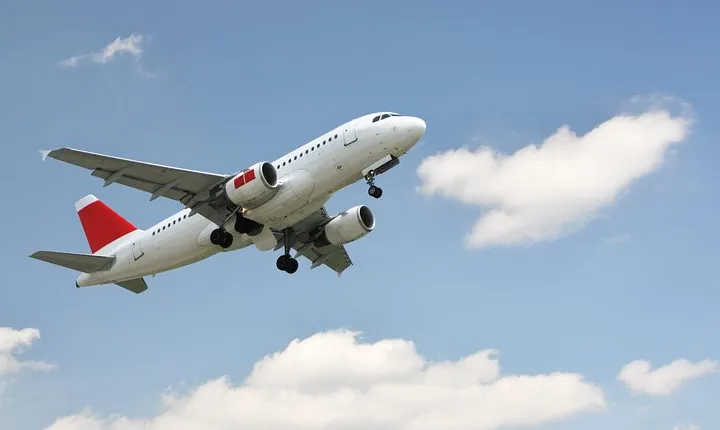 Private Departure Transfer: Hotel to Rome Fiumicino Airport