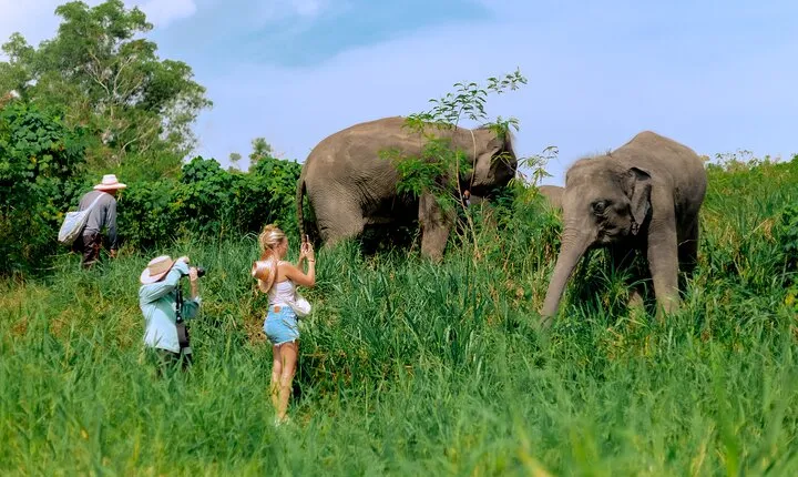 Elephant Sanctuary Small Group Tour in Phuket