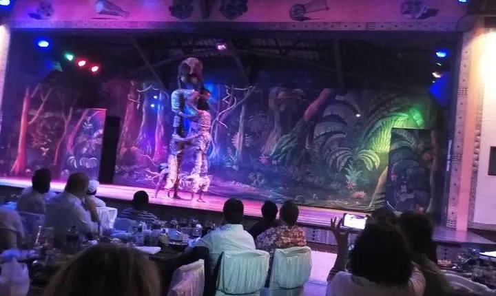Safari Cat Dancers Show And Dinner