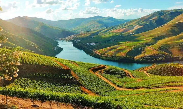 Douro Valley tour from Porto