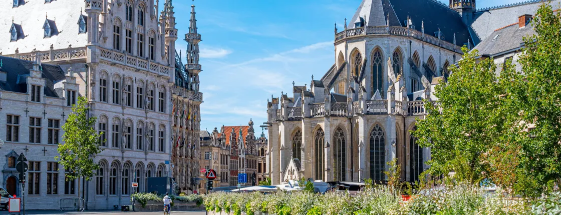 Self guided tour with interactive city game of Leuven