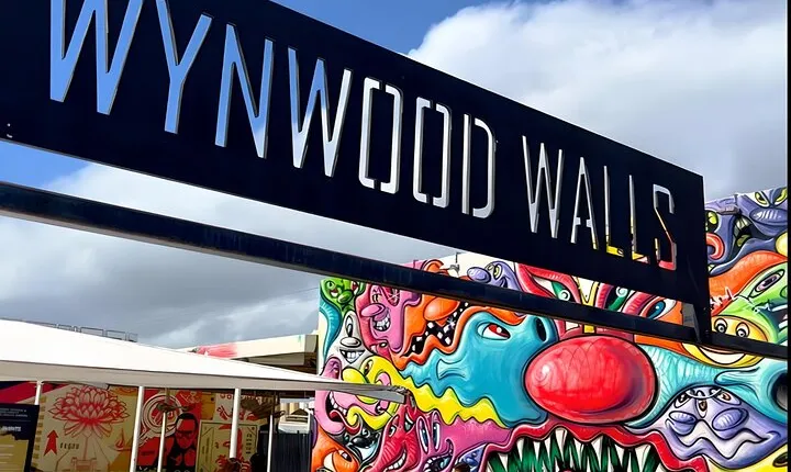 Explore in the Vibrant Art Scene of Wynwood Art Private Tour