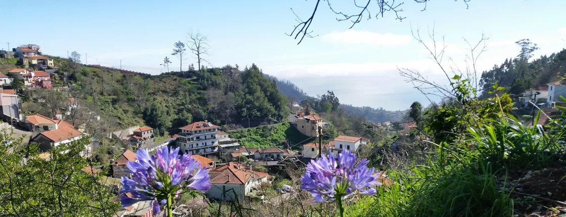 Guided trekking along the Levada Vale Paraíso