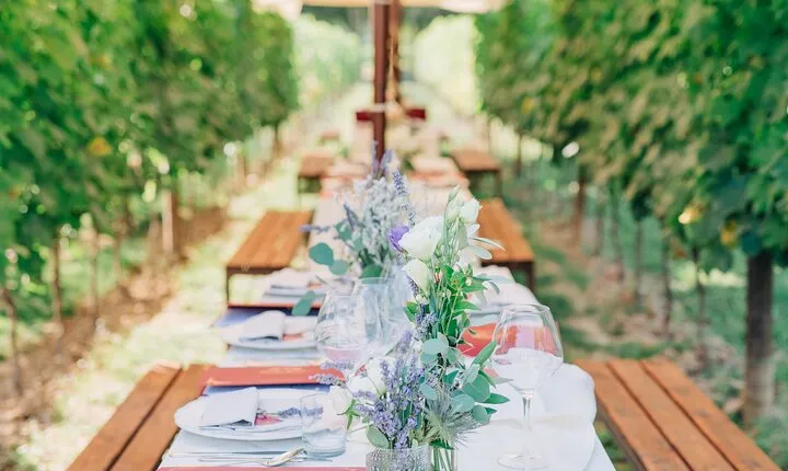 Romantic Lunch in the Vine Rows in Tuscany