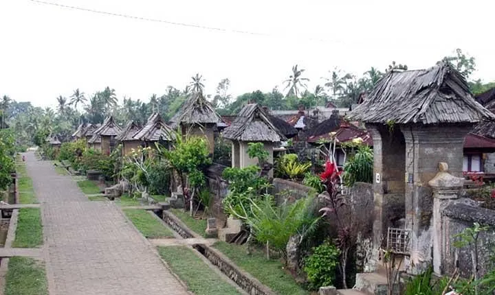 Full Day Kintamani and Penglipuran Village Private Chartered Car Tour from Bali