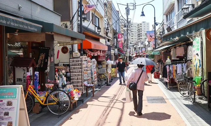 Yanaka Historical Walking Tour in Tokyo's Old Town
