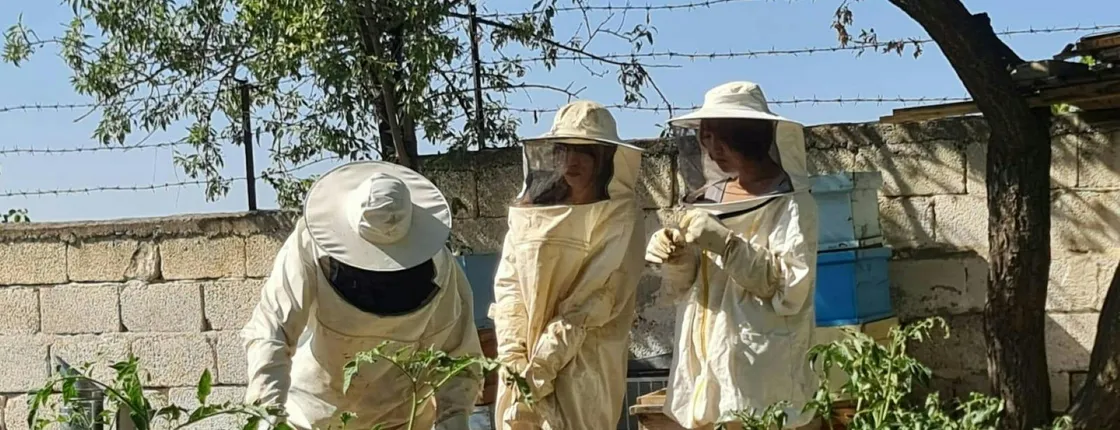 Beekeeping experience and honey tasting in Cappadocia
