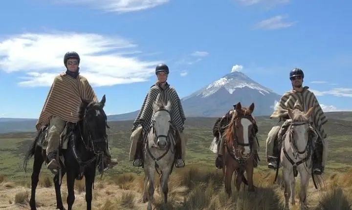 Horseback Riding and Cotopaxi National Park Day Trip
