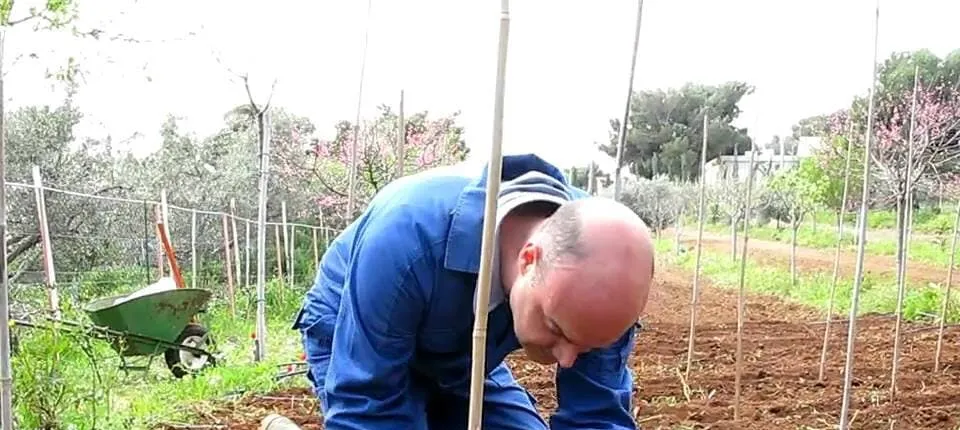Cretan Villages Tour with Cooking Lesson