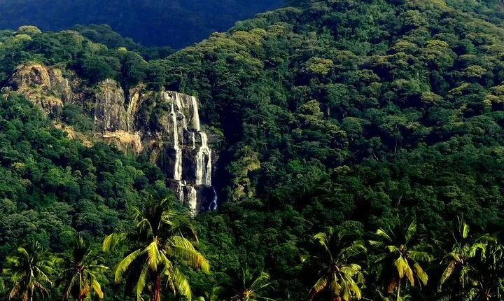 Mikumi National Park & Udzungwa Water Falls 3 Days Group Tour
