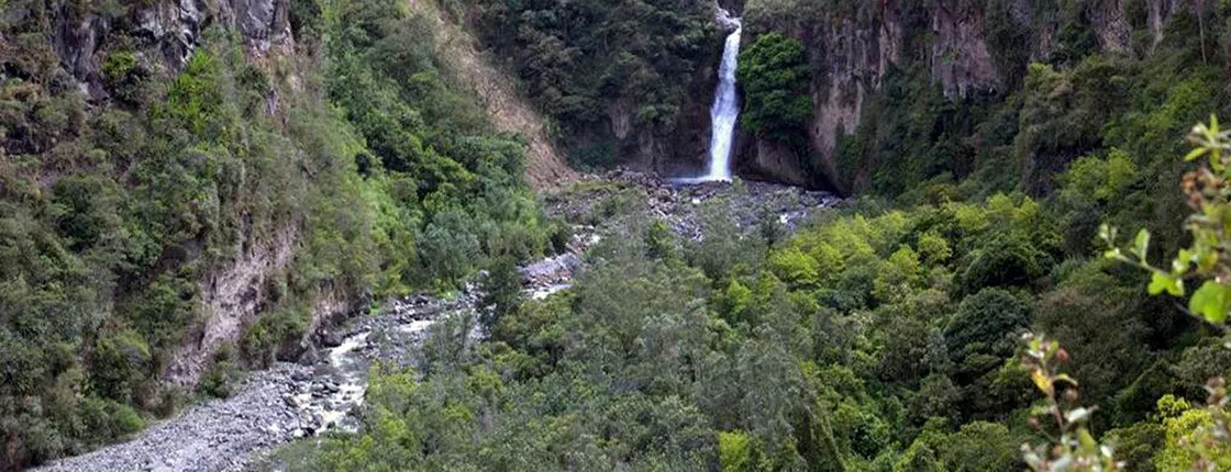 Presidente Figueiredo Waterfalls guided excursion with lunch