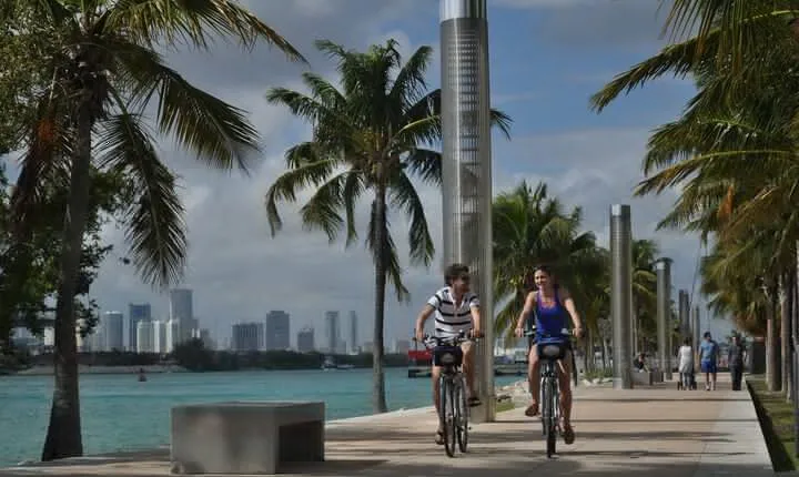 Bicycle Rental in Miami Beach 