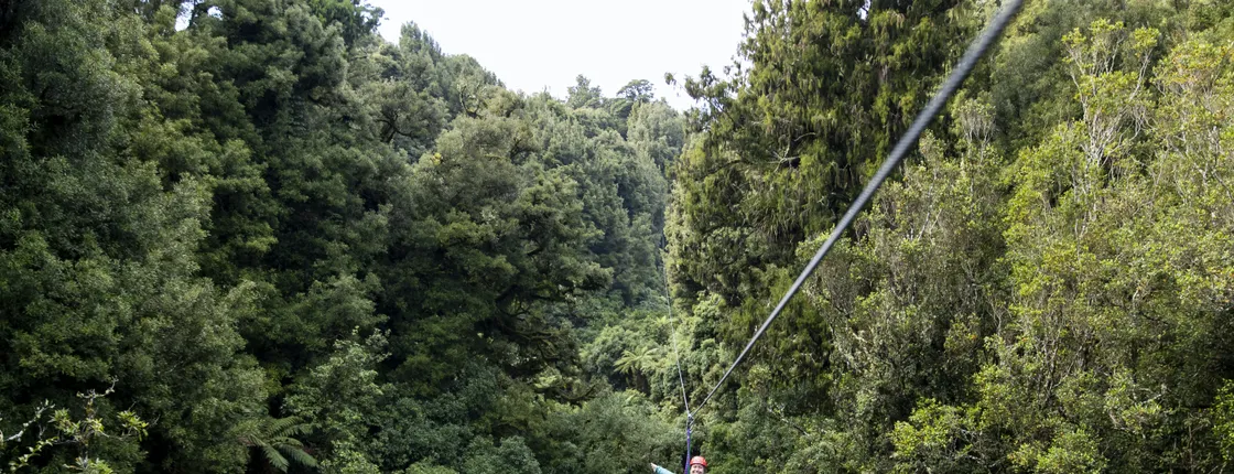 The original canopy experience