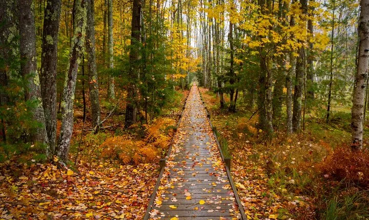 East Coast USA: Self-Guided Driving & Walking Tour Bundle