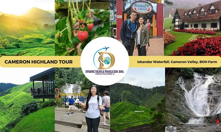 Private Full-Day Cameron Highlands Nature Tour from Kuala Lumpur