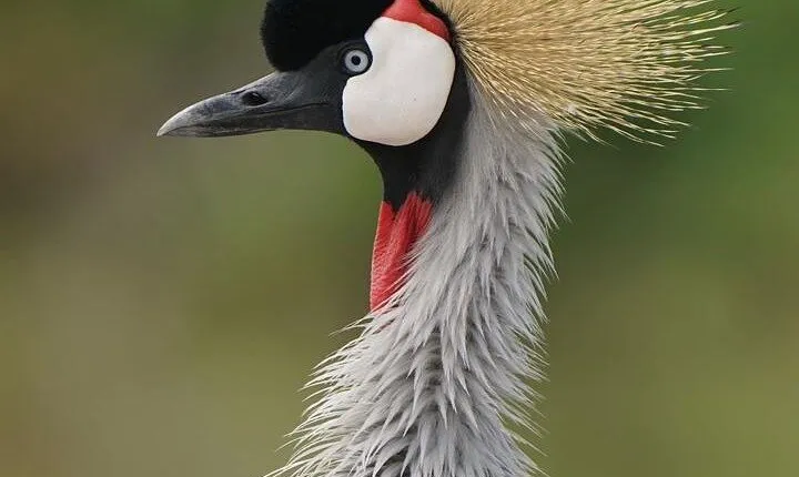 Private 6 Day Arusha Adventure Tour by 4WD