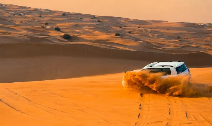 Full-Day Desert Safari with Buffet Dinner || Inland Sea Visit