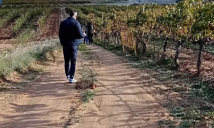 Ribera del Duero Tour: Two Wineries with Transport from Madrid