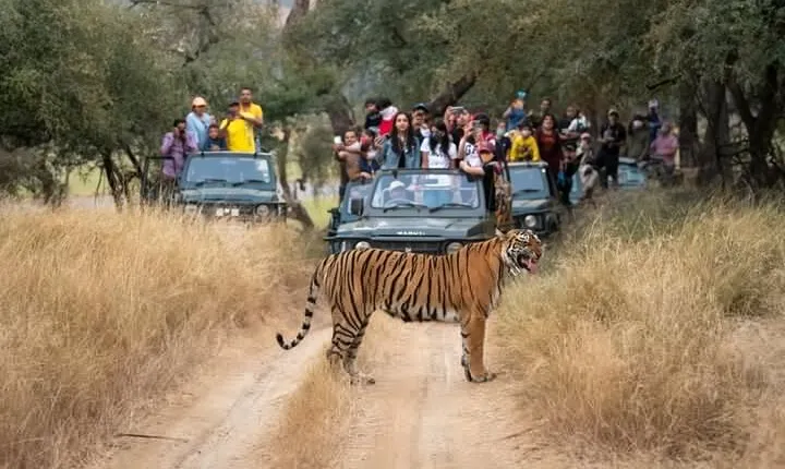 7 Days Golden Triangle Tour & Ranthambore Tiger Safari