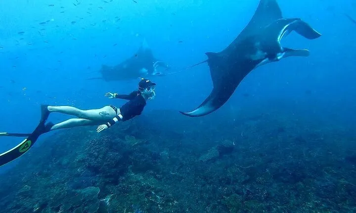 Snorkeling In Nusa Penida And Uluwatu Sunset Tours