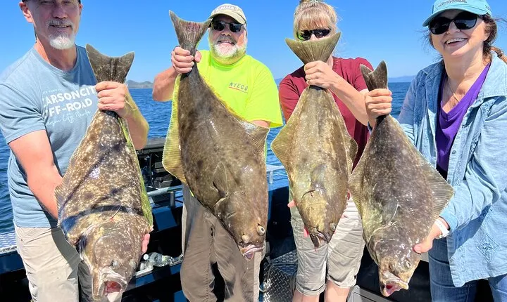 Ketchikan Halibut Hunt Fishing Adventure & Wildlife - Top Rated 