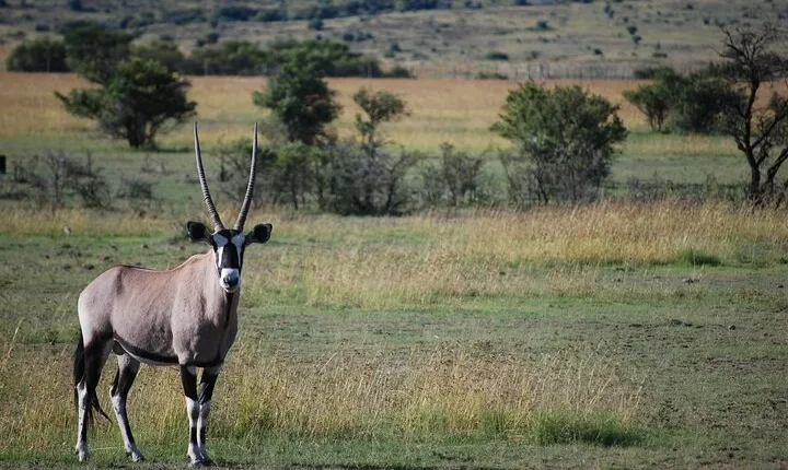 Private Day Trip to Arusha National Park