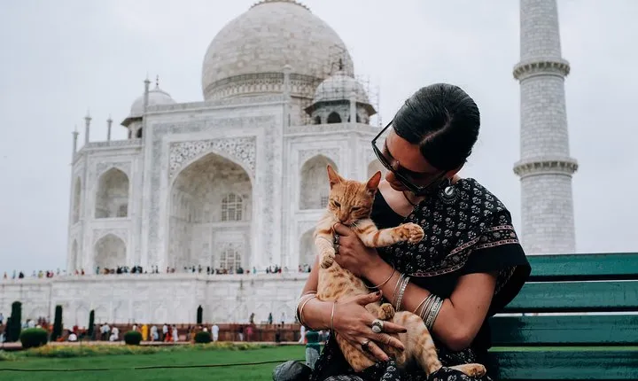 Agra Half-Day Tour of Taj Mahal and Agra Fort by Car