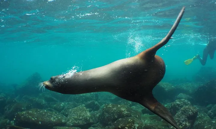 12-Day Galapagos Superior Adventure (Tourist Class)