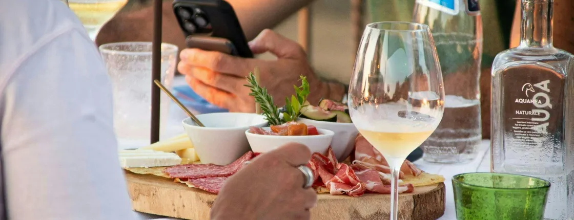 Vineyard Guided Tour and 7 Wine Tasting in Palau