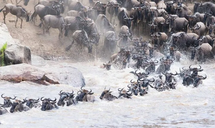 3 days Ngorongoro-Lake Manyara