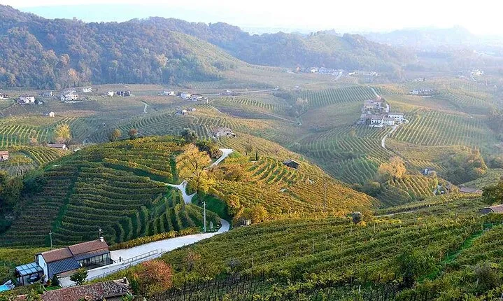 Private Tour: Prosecco Wine Tasting Day Trip with Lunch from Venice