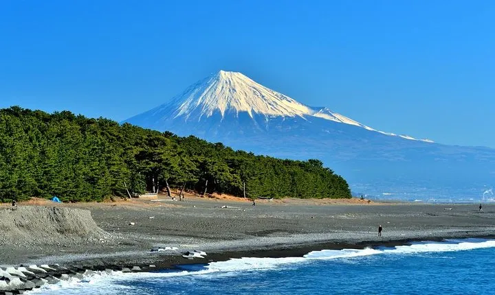 Port Pick-Up: Shizuoka Tour with Licensed Guide and Vehicle