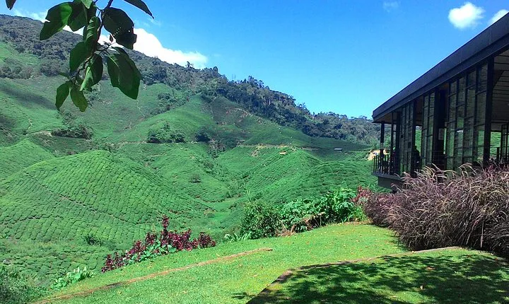 Cameron Highlands 3 Days 2 Night Tours Private (per Vehicle)