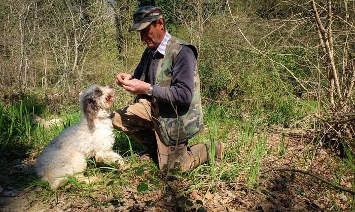 Private Truffle Hunt in Tuscany