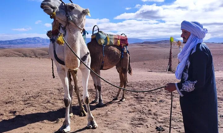 Marrakech Desert Dinner Show & sunset camel ride - Authentic